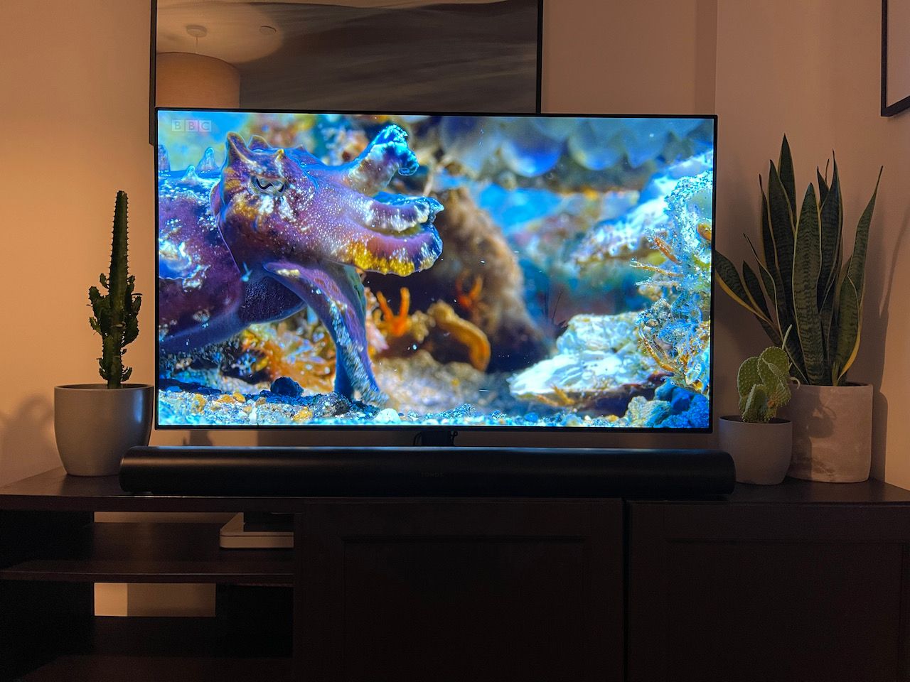 Photo of TV setup with LG CX and Sonos Arc soundbar, demonstrating a gap between the bottom of the TV and top of the soundbar when viewing from an upright seated position.